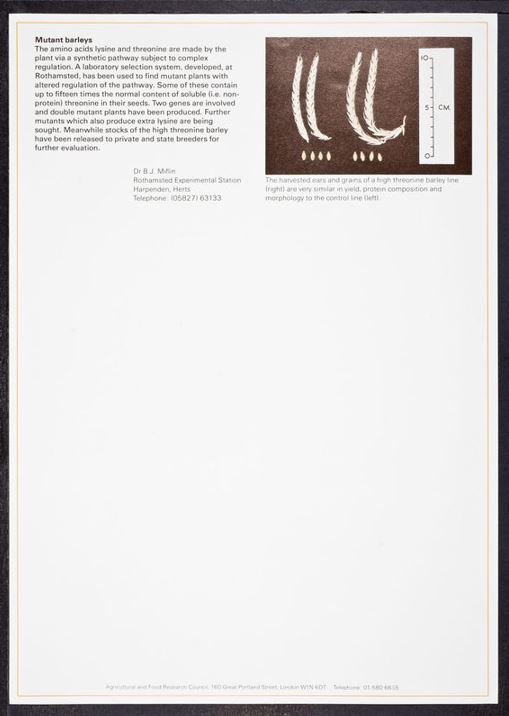 rothschild letter 26