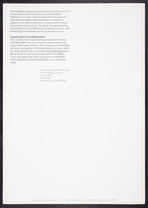 rothschild letter 32