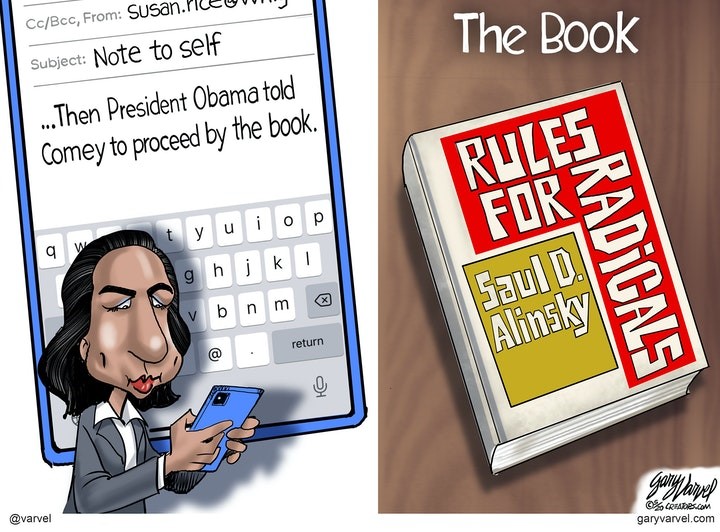 susan rice book