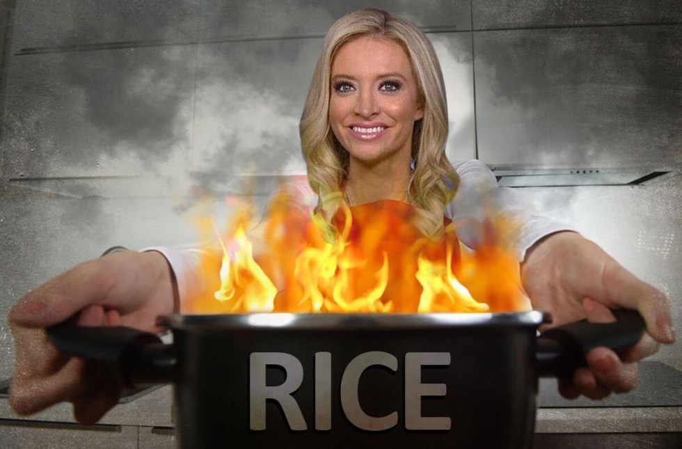 susan rice fried