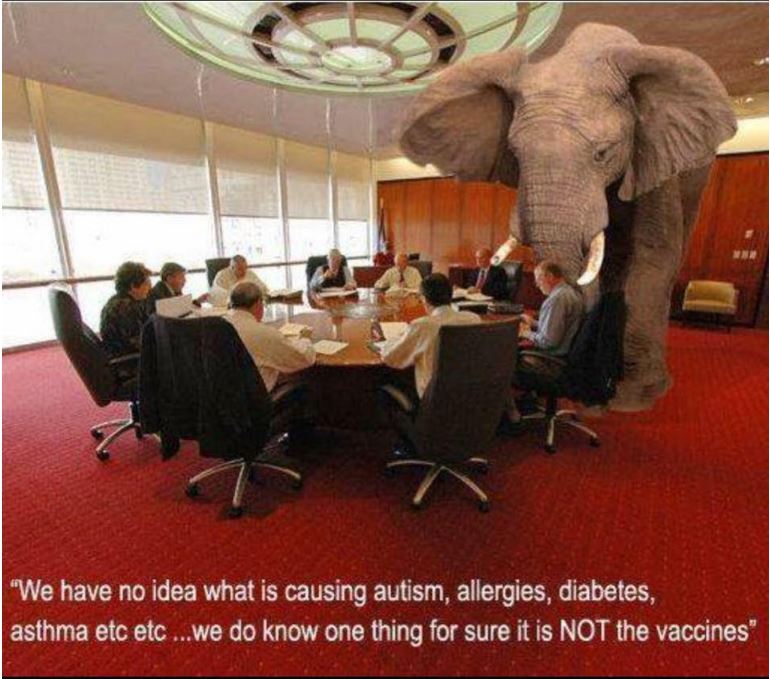 vaccines autism