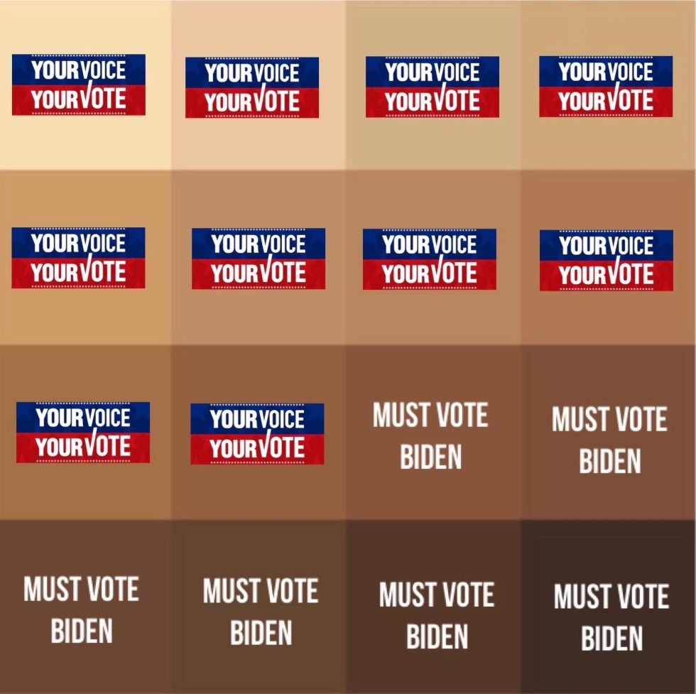 vote election black