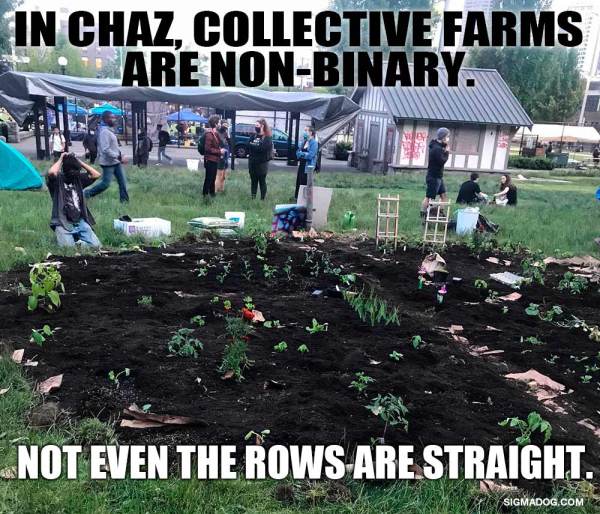 CHAZ-GARDEN