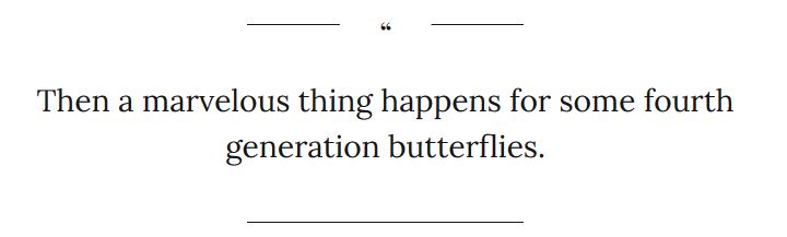 butterfly