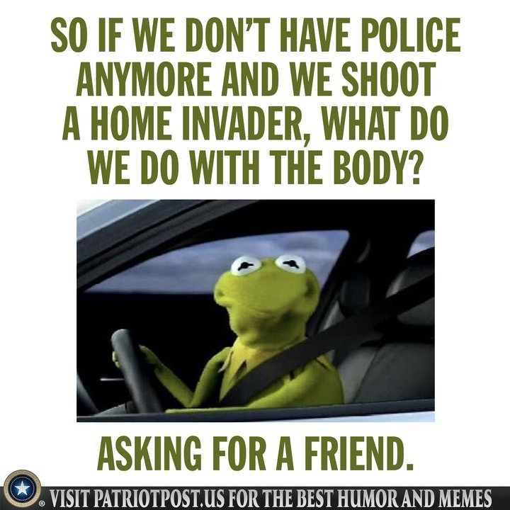defund police body