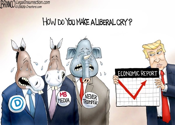 democrat liberal cry economy