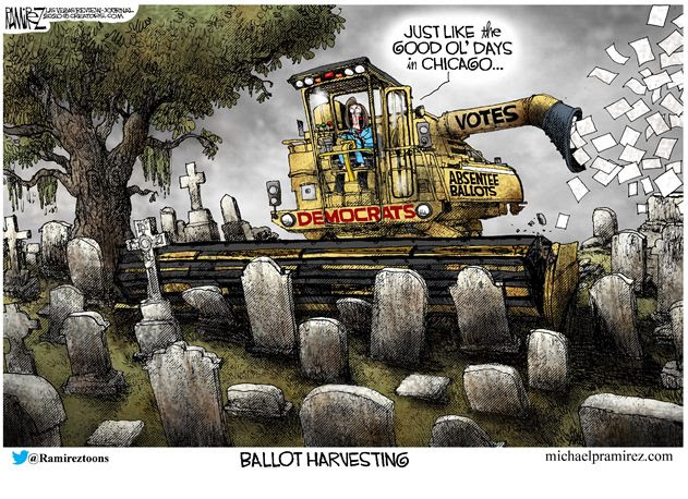 democrat voter harvest