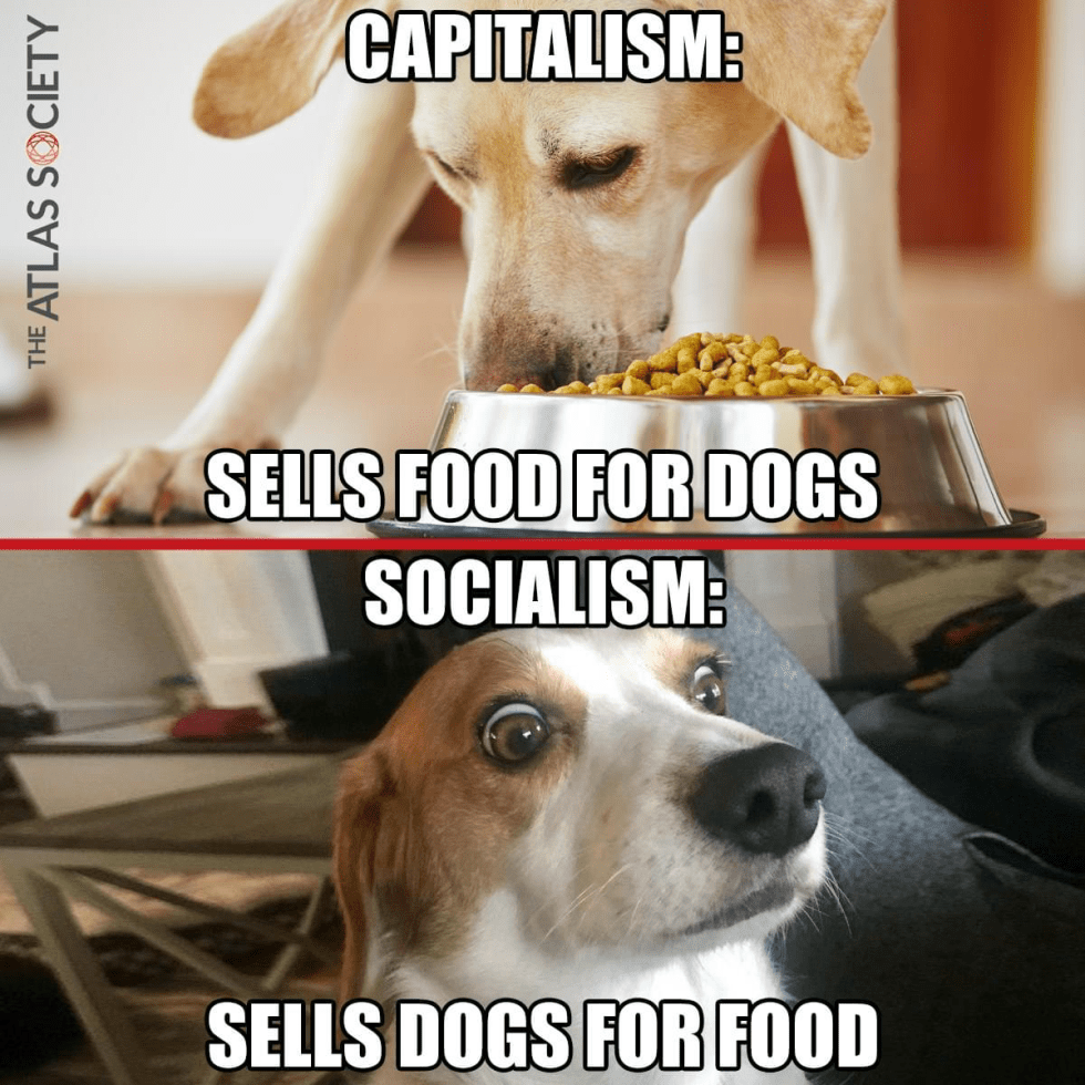 dogs capitalism socialism