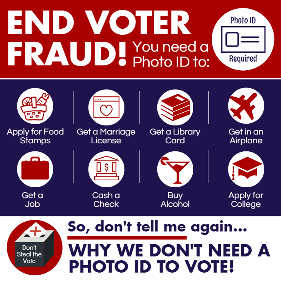 end voter fraud
