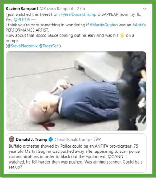 fake protestor