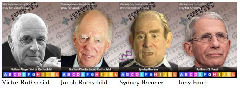 fauci brenner rothschild
