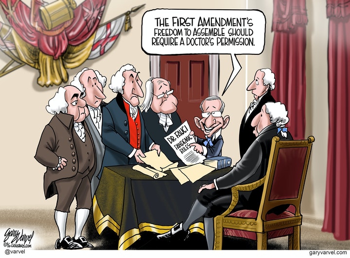 fauci constitution