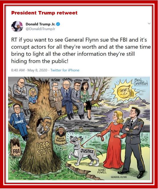 flynn sue fbi