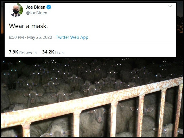 joe biden mask