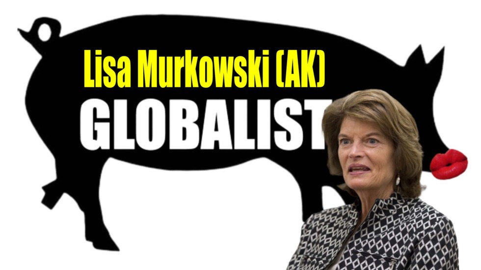lisa murkowski pig