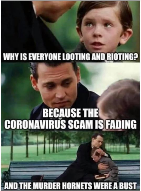 looting rioting murder hornets