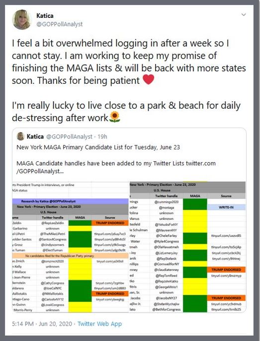 maga list new york