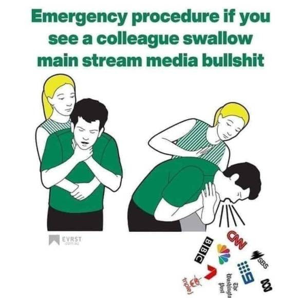 media fake news