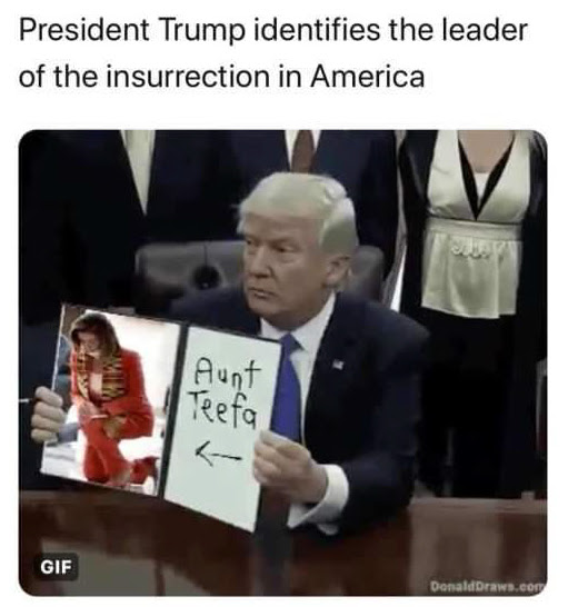 pelosi aunt teefa