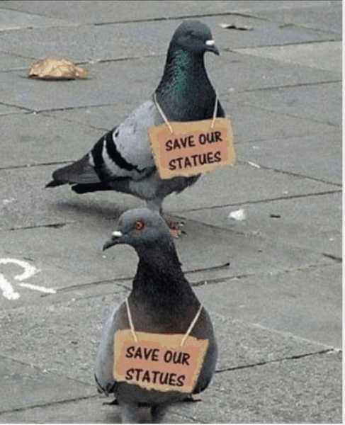pigeons statues