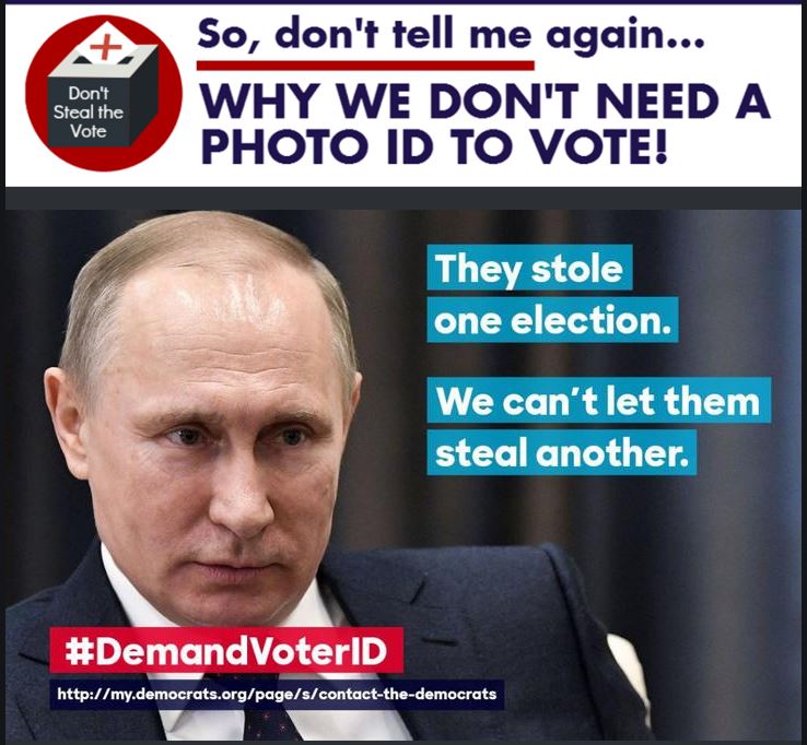 putin demand voter id election