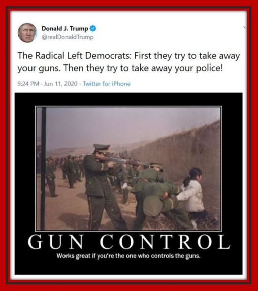 radical democrats gun police