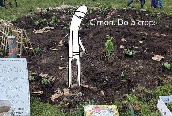 seattle farming