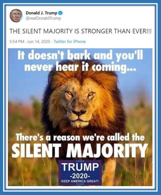 silent majority tt