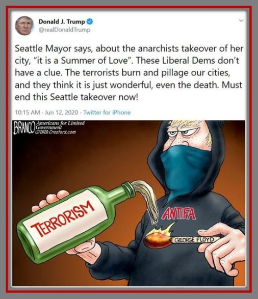 tt seattle antifa summer love