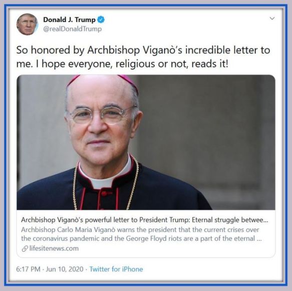 tt vigano letter