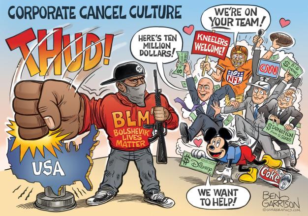 Blm terrorizes america