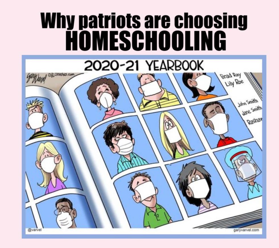 Homeschooling yearbook face mask