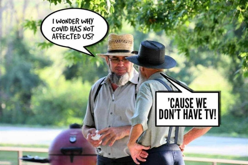 amish covid corona