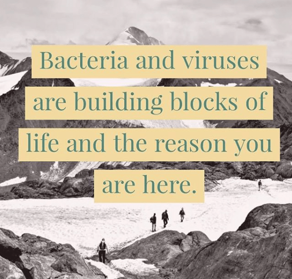 bacteria virus