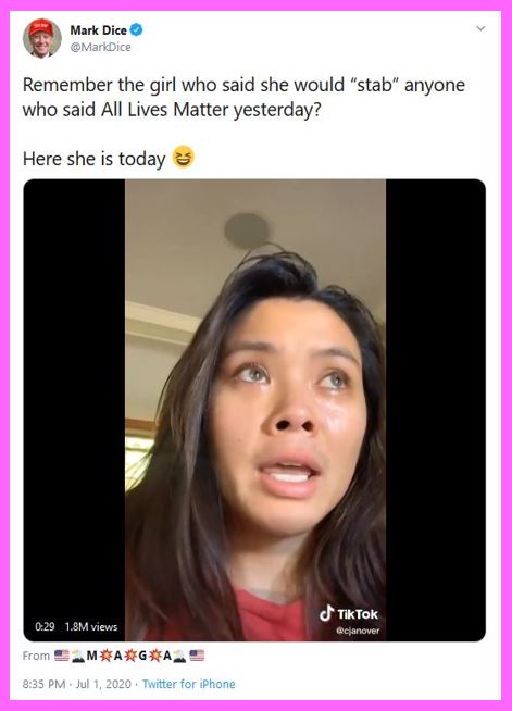 blm stab harvard girl