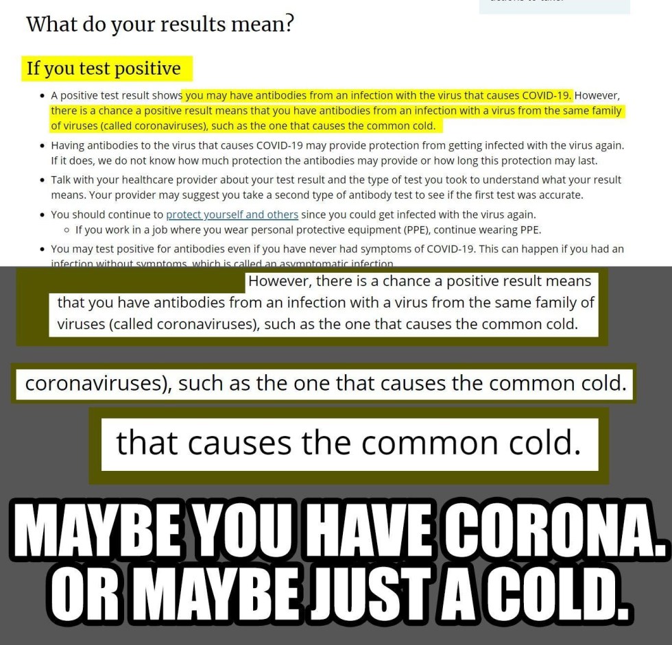 corona common cold covid