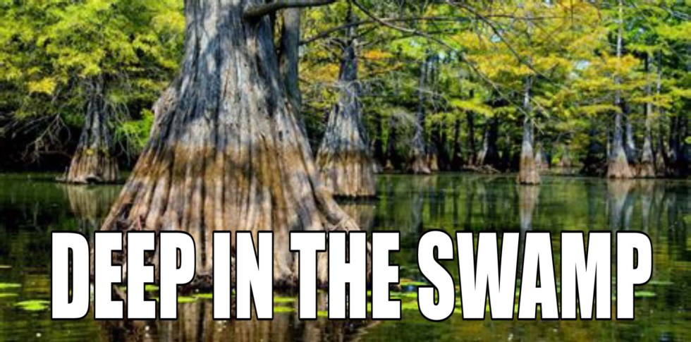 deep in swamp