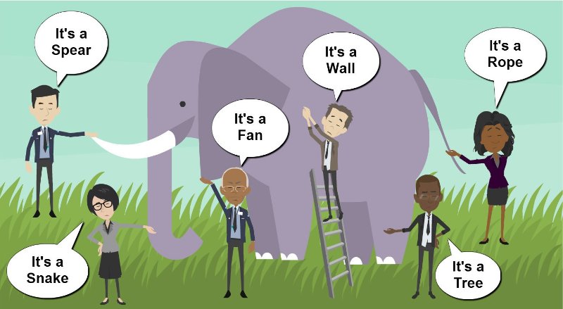 elephant perspective