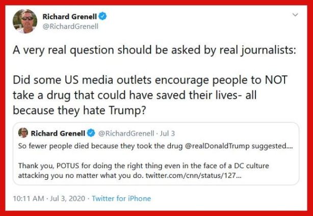 fake news media grenell