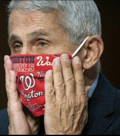 fauci face mask