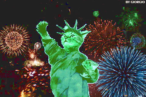 fireworks_liberty_cat giorgio