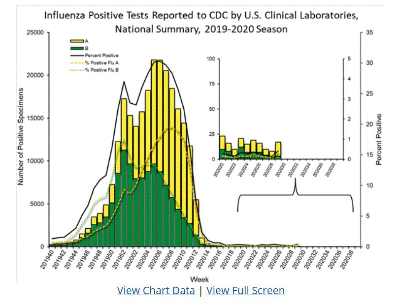 flu statistics