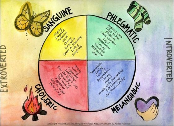four temperaments waldorf