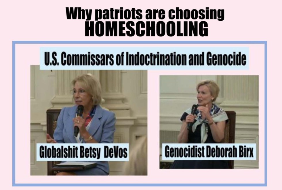homeschooling birx devos