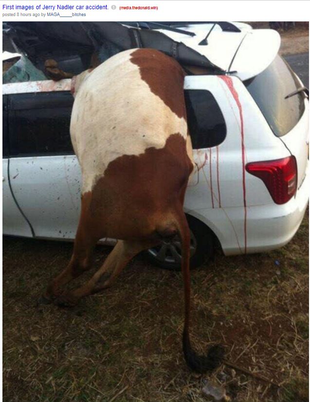 jerry nadler car accident