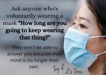 mask wearer