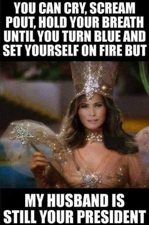 melania fairy godmother