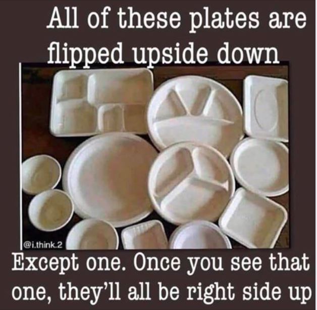 perception