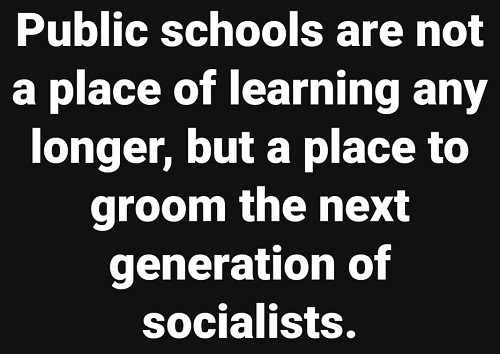 public school socialist education indoctrination