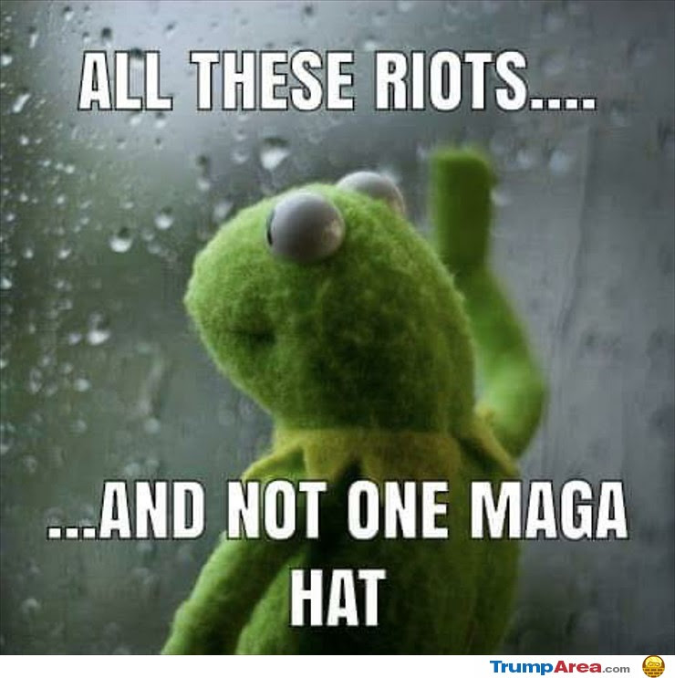 riots maga